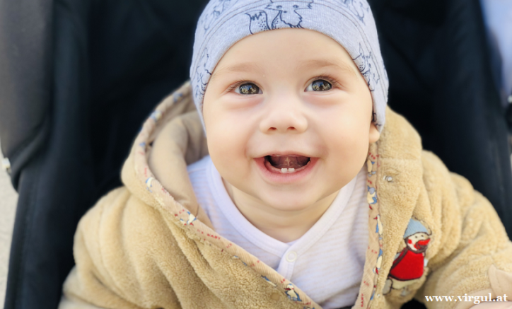 Avusturya’da Parlamentonun Onayladığı ‘’Baba-Ayı’’ Ne Demek?