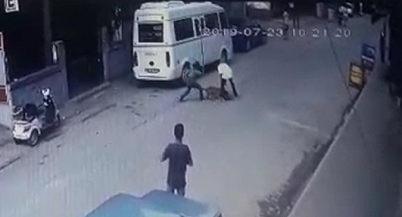 Hamile Kediyi Pitbullun Ağzına Atan Çocukların Dehşet Veren İfadesi