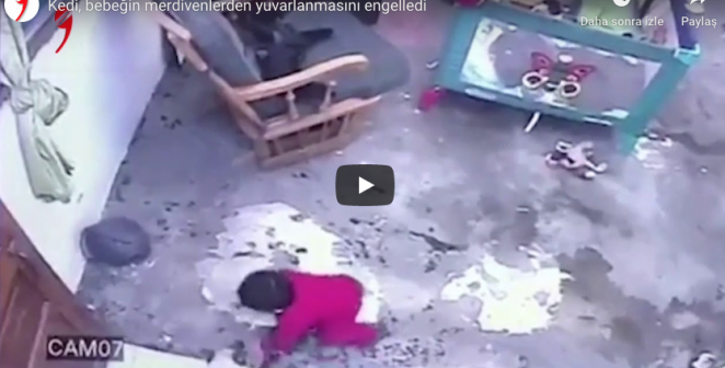 Evdeki kedinin, merdivenlere yönelen bebeği düşmekten kurtardığı anlar
