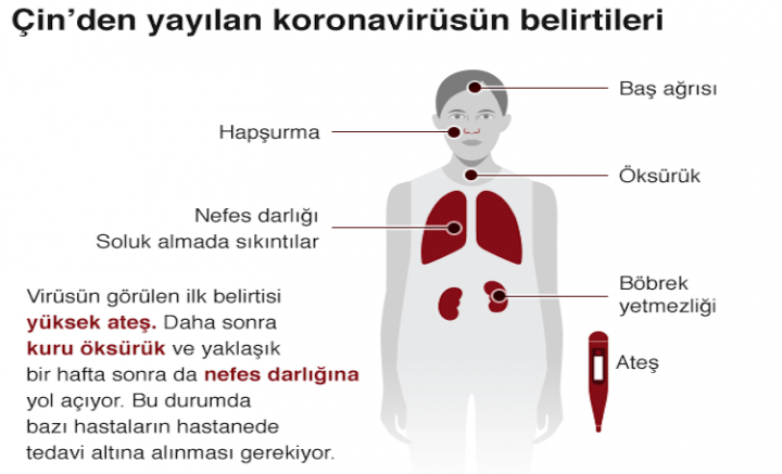 Hayatını kaybedenlerin sayısı 100’ü, virüsün bulaştığı kişi sayısı 4 bini aştı