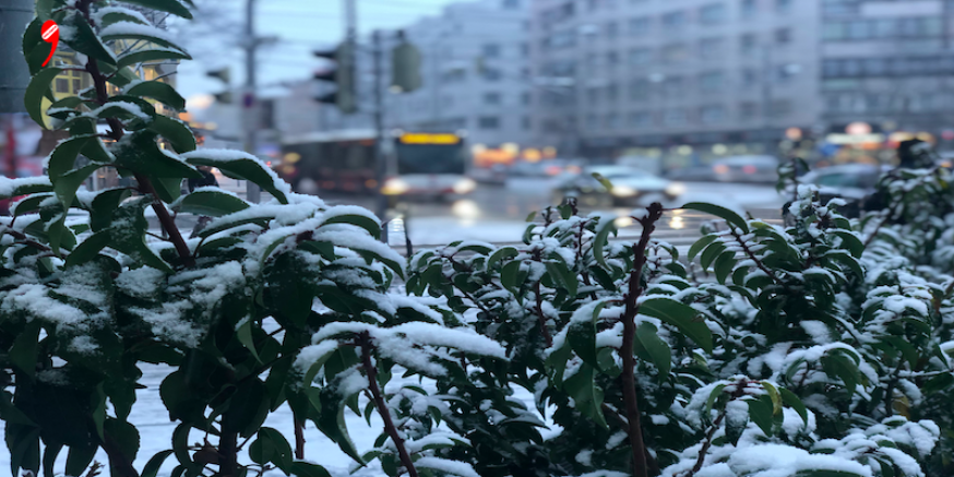 Kar Yağışı Avusturya’nın Batısında Etkili
