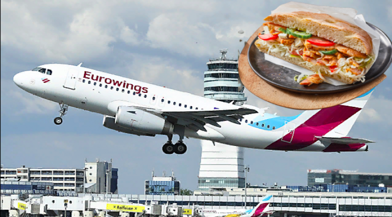 Alman Hava Yolu Şirketi Menüsüne Döner Ekledi