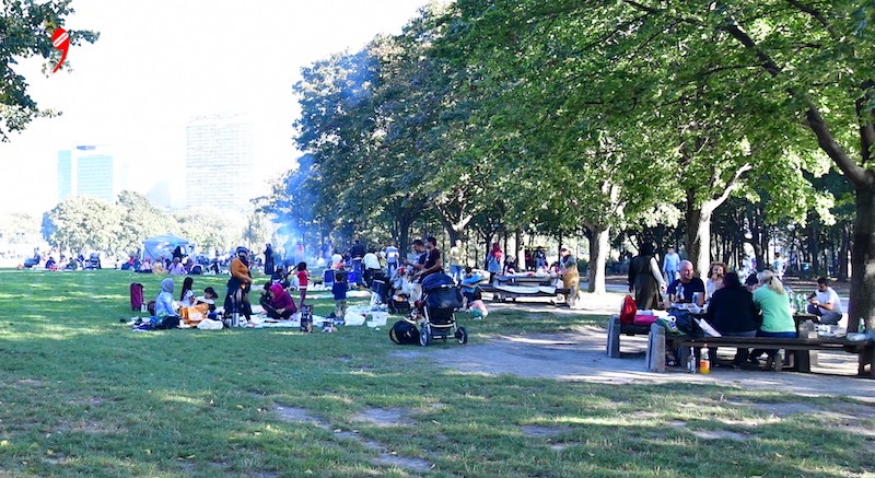 Viyana’da Mangal Alanları Açıldı