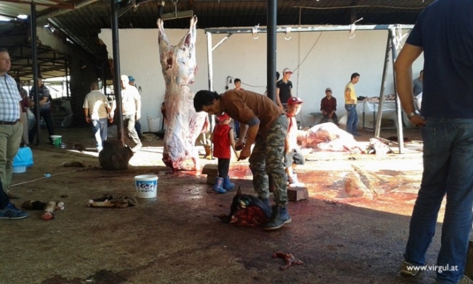 “COVİD-19 İÇİN KURBAN ÖNLEMLERİ”