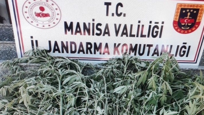 Jandarmayı şaşırtan operasyon