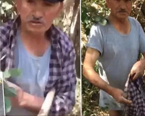 Köpeği cinsel istismara maruz bırakırken yakalandı