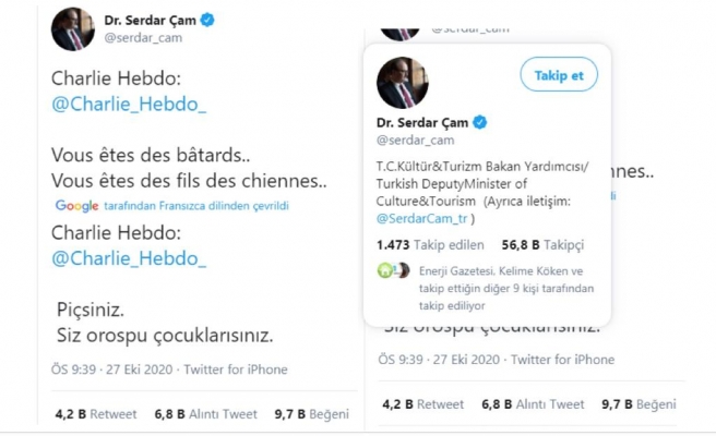Bakan Yardımcısı | “P..siniz, O…u çocuğusunuz”