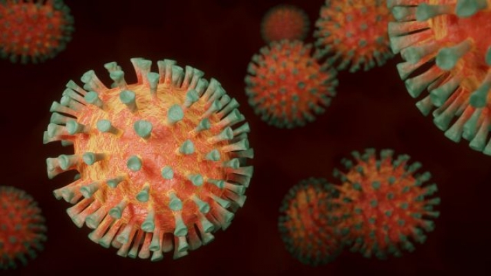 Coronavirus in Wien: Stichprobe weist 17 Prozent Mutations-Anteil auf