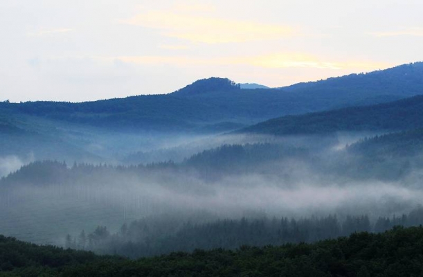 Dschinn: Grüße aus der Parallelwelt