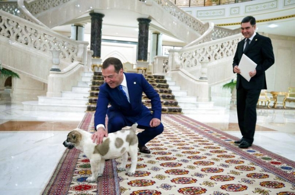 Türkmenistan’da Alabay cinsi köpekler için ulusal tatil günü ilan edildi