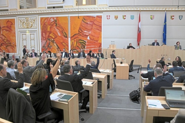 Federal Konsey, Ulusal Konseyin Korona Yasalarını Engelledi