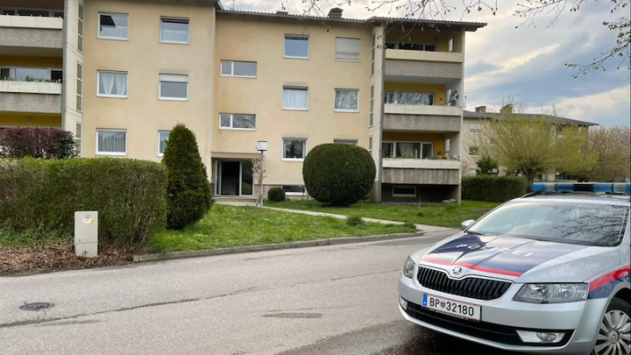 Avusturya’da Her 12 Günde Bir Kadın Cinayeti İşlendi