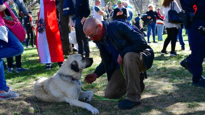 Irkçıların Arasında Kangal Köpeği ve Sahibi
