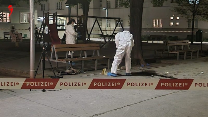 Viyana | Başından Vurulan Kadın Hastanede Hayatını Kaybetti