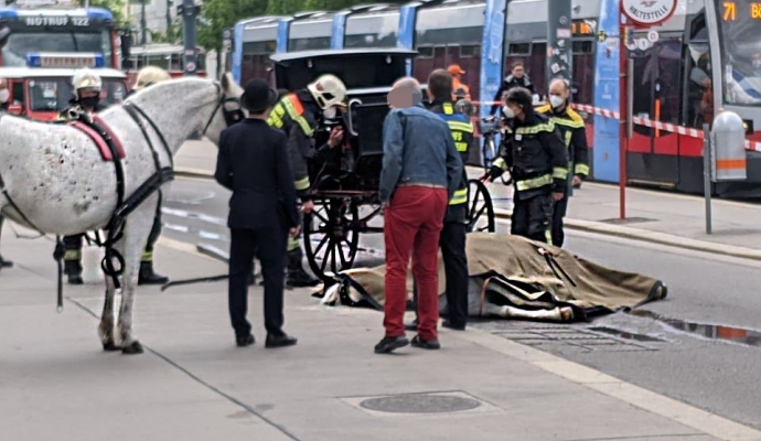 Fayton Atı Aniden Caddeye Yığıldı