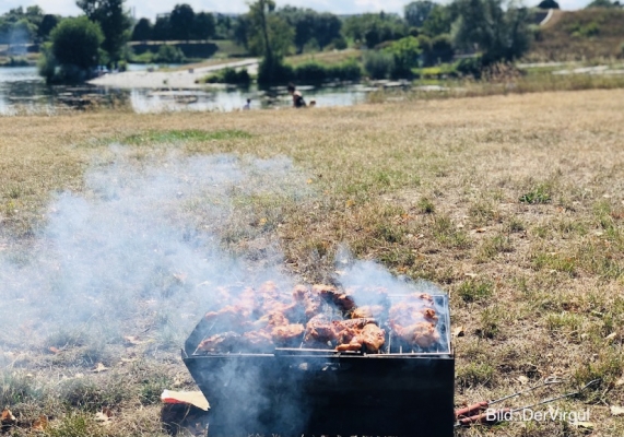 Viyana Mangal Alanları Açıldı