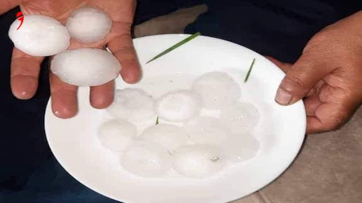 Avusturyalı Çiftçileri Dolu Vurdu | Hasar 29 Milyon Euro