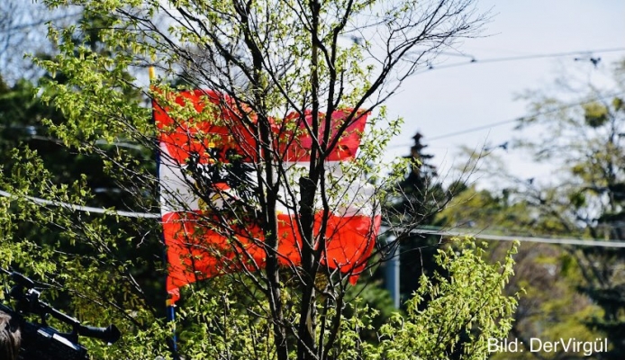 SPÖ | “Avusturya’da Altı Yıl Yasal Olarak Yaşayan Herkese Vatandaşlık Verilmelidir”