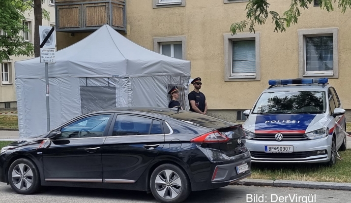 Viyana’da Ağaca Yaslanmış Şekilde Genç Kadın Cesedi Bulundu