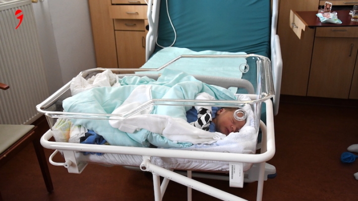 Avusturya’da Geçen Yıl 82.950 Canlı Bebek Doğdu