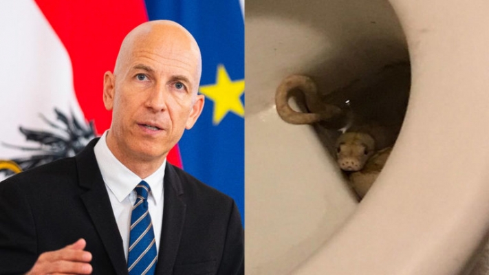 „Damit Arbeitslose Arsch hochkriegen“: Kocher entlässt 1 Million Schlangen in Kanalisation von Die Tagespresse