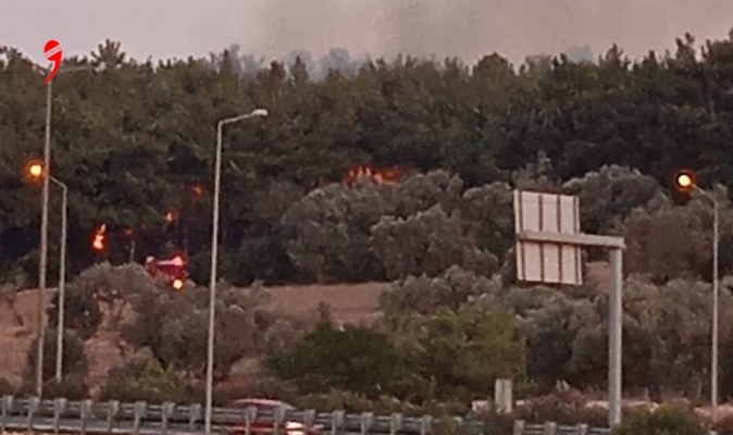 İzmir’de Orman Yangını