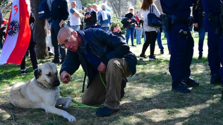 Kangal Köpeği ve Van Kedisine Yurt Dışı Kısıtlaması