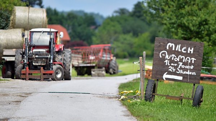 Süt Ürünlerine Zam Gelebilir | Çiftçiler Kararlı