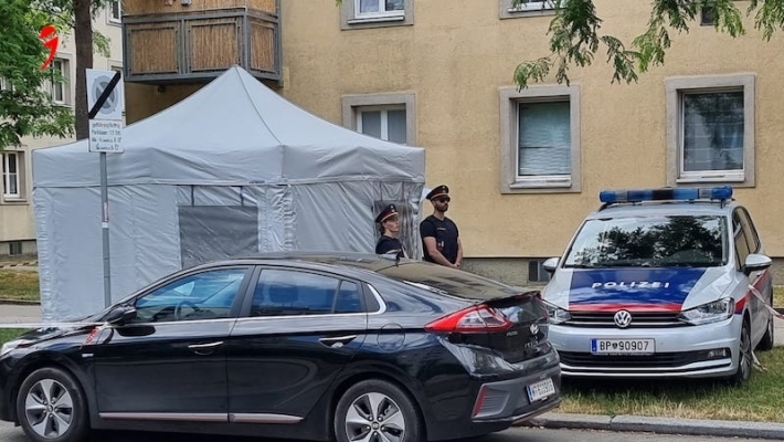 Viyana’da Öldürülen 13 Yaşındaki Kız Çocuğunun Dördüncü Katil Zanlısı Londra’da Yakalandı