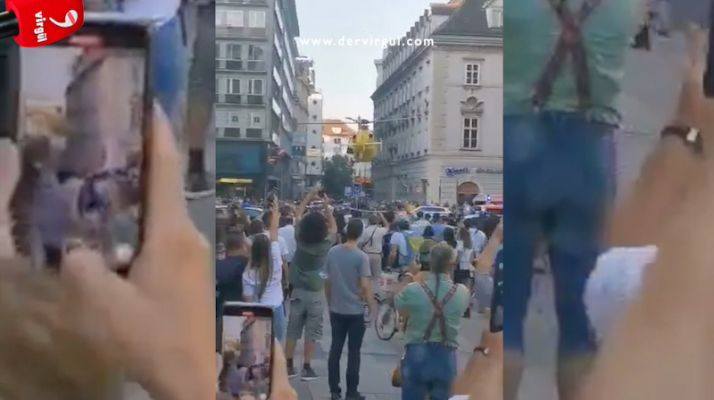 Viyana | İki Yaşındaki Çocuk Faytondan Düştü