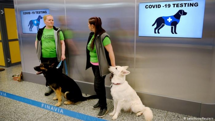 Köpekler Korona Testi Yapacak