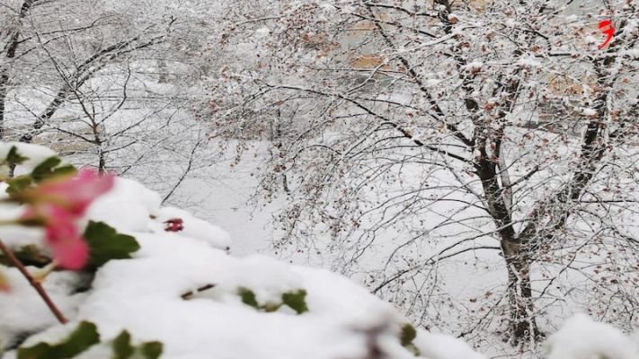 Perşembe günü Avusturya’da kar yağışı