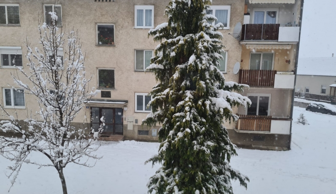 Schneedecke über ganz Österreich