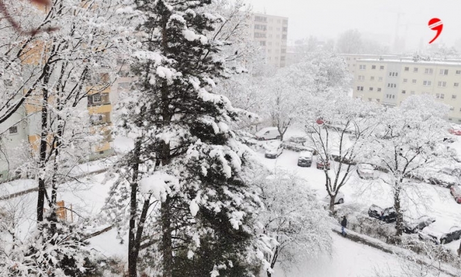 Viyana’da daha fazla kar yağışı beklenmiyor