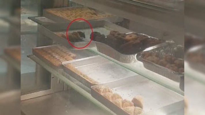Viyana’da bir pastane vitrinindeki baklavayı yiyen fare kameraya yansıdı