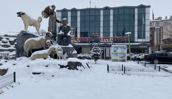Sivas’ta 277 yerleşim yerinin yolu ulaşıma kapandı