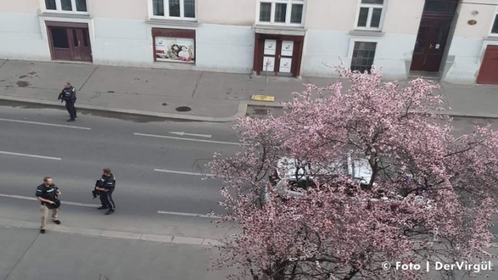 Viyana | Kadına kılıçlı tehdide polis operasyonu