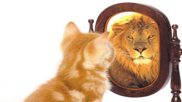 Dunning-Kruger Sendromu nedir?