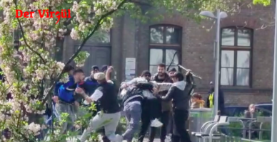 Viyana’da kitlesel kavga