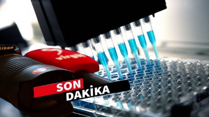 Avusturya’da ilk maymun çiçeği vakası tespit edildi