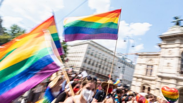 Polizistin mit Glasflasche auf den Kopf geschlagen bei Regenbogenparade