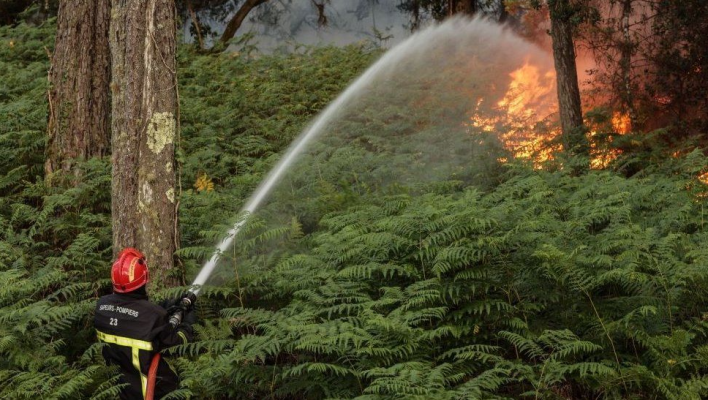 Hitzewelle in Europa sorgt für Waldbrände
