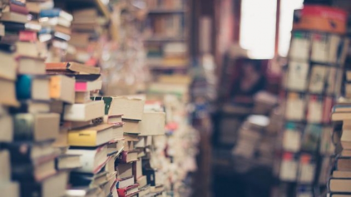 Viyana’nın ana kütüphanesi binlerce kitabı bit pazarında satıyor