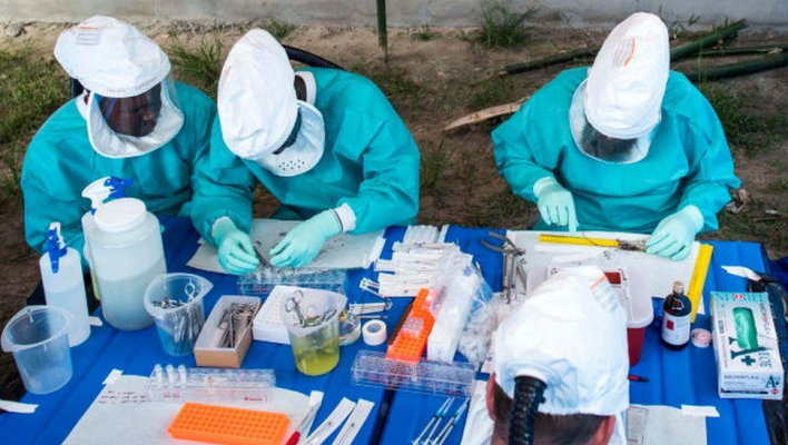 WHO ruft wegen Affenpocken höchste Alarmstufe aus