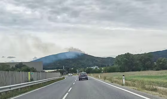 Waldbrand vor den Toren Wiens