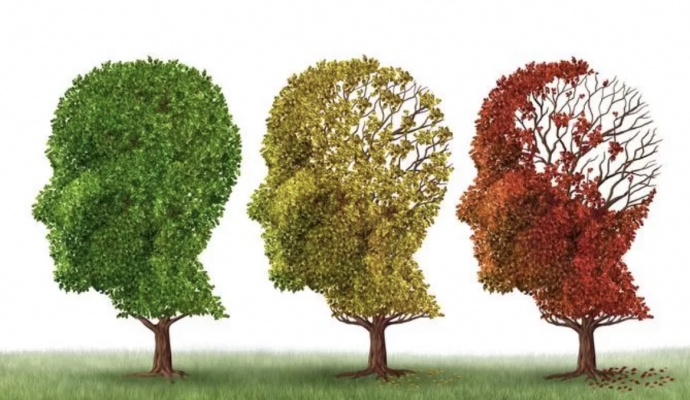 Unutkanlığa ve Alzheimer’a karşı hafızayı güçlendirmenin yolları neler?