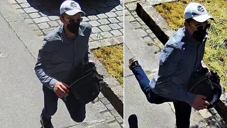 Viyana polisi soyguncuyu arıyor