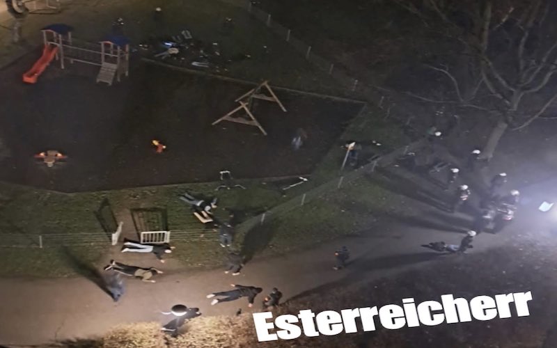 Avusturya polisi gençleri yüzüstü yere yatırdı