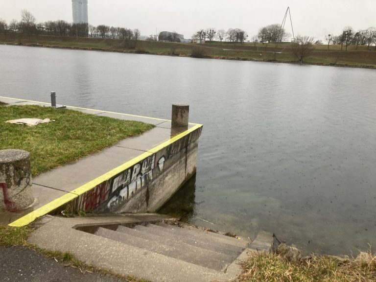 Viyana’da Tuna Nehri kıyısında plasenta ve göbek bağı bulundu