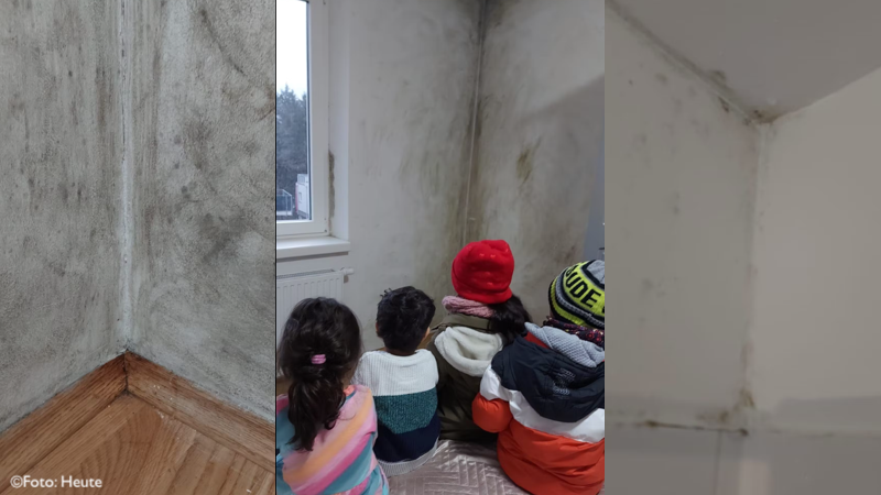Yıllarca Viyana belediyesinden ev verilmesini bekledi